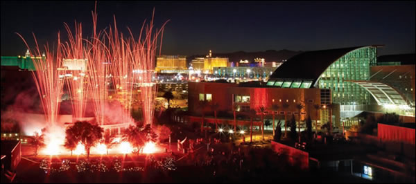 lied library & fireworks
