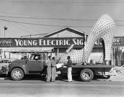 Giant Silver Slipper electric sign loaded on the back of a flatbed truck in front of Young Electric Sign Company building, 1958.