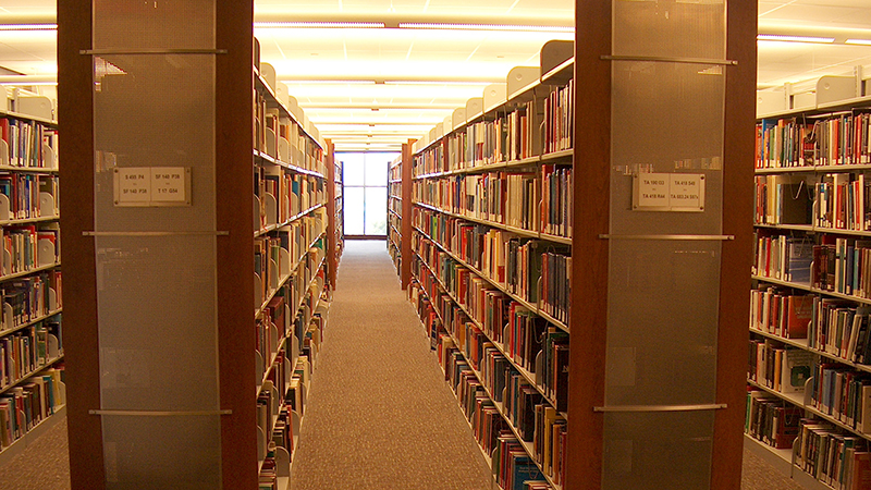 Aisle between two book shelves