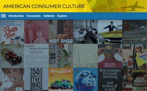 Screenshot of American Consumer Culture database start page.