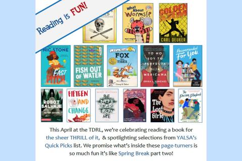 Reading Is Fun Curated Book Display Poster