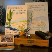 Jeanne Janish's tools and art supplies used for illustrations, such as the Flowers of the Southwest Desert example behind the art supplies