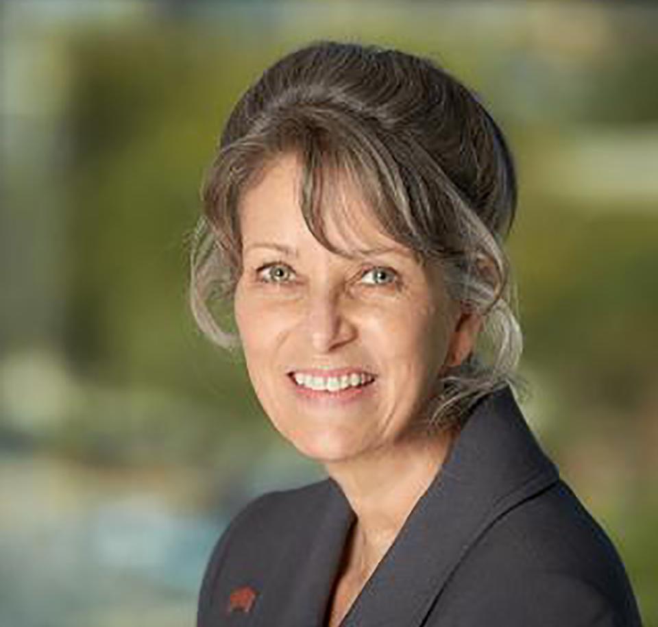 Cyndi Shein, Interim Director of the Libraries’ Research and Education Division
