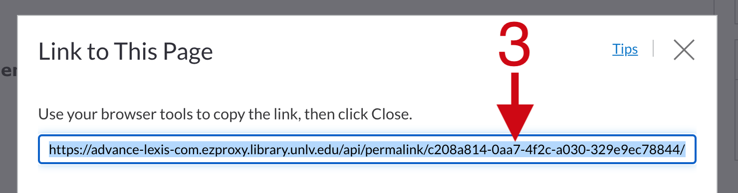 Screenshot showing example of Nexi Uni persistent link URL