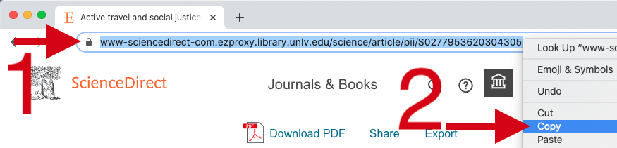 Screenshot of ScienceDirect showing where to find persistent link in address bar