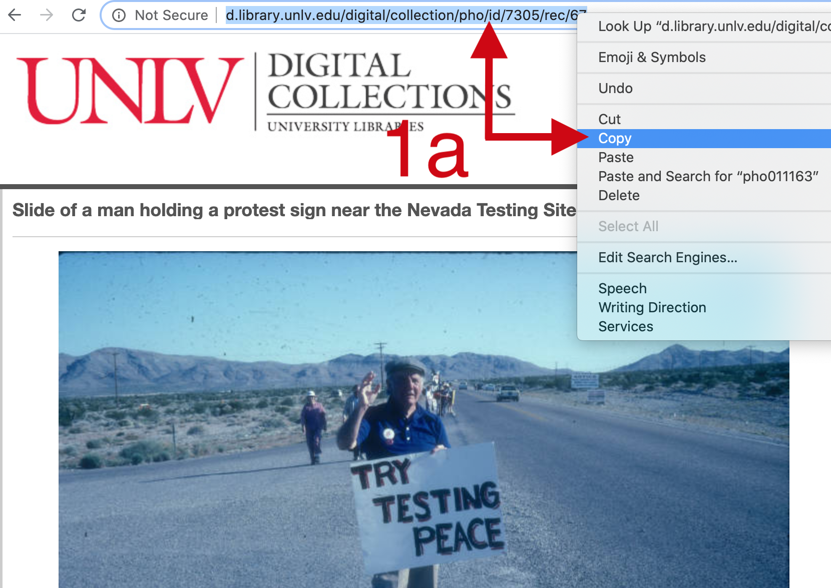 Screenshot demonstrating copying the URL from the address bar on the Digital Collections pages