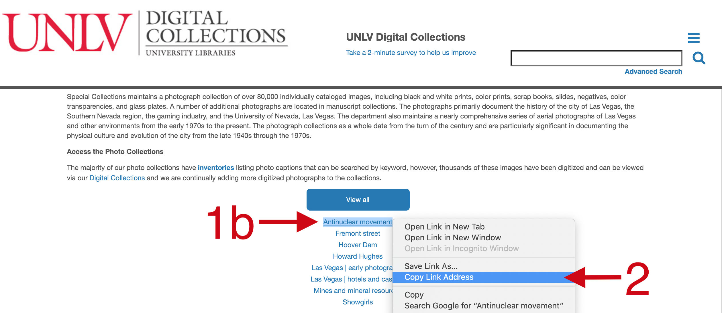 Screenshot showing where to find the persistent link for an entire collection found on the Digital Collections site