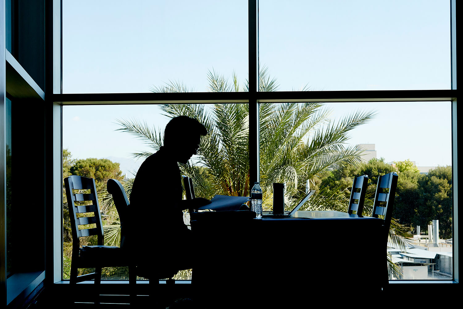 UNLV Libraries Development