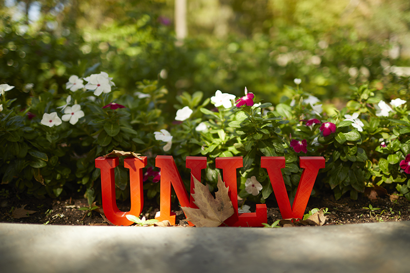 UNLV Letters in front of flowers
