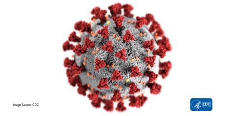 Visit our one-stop guide for relevant and timely information about the Coronavirus