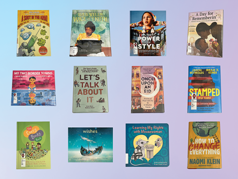 Images of book covers from the Celebrate your Right To Read Curated Book Display. 