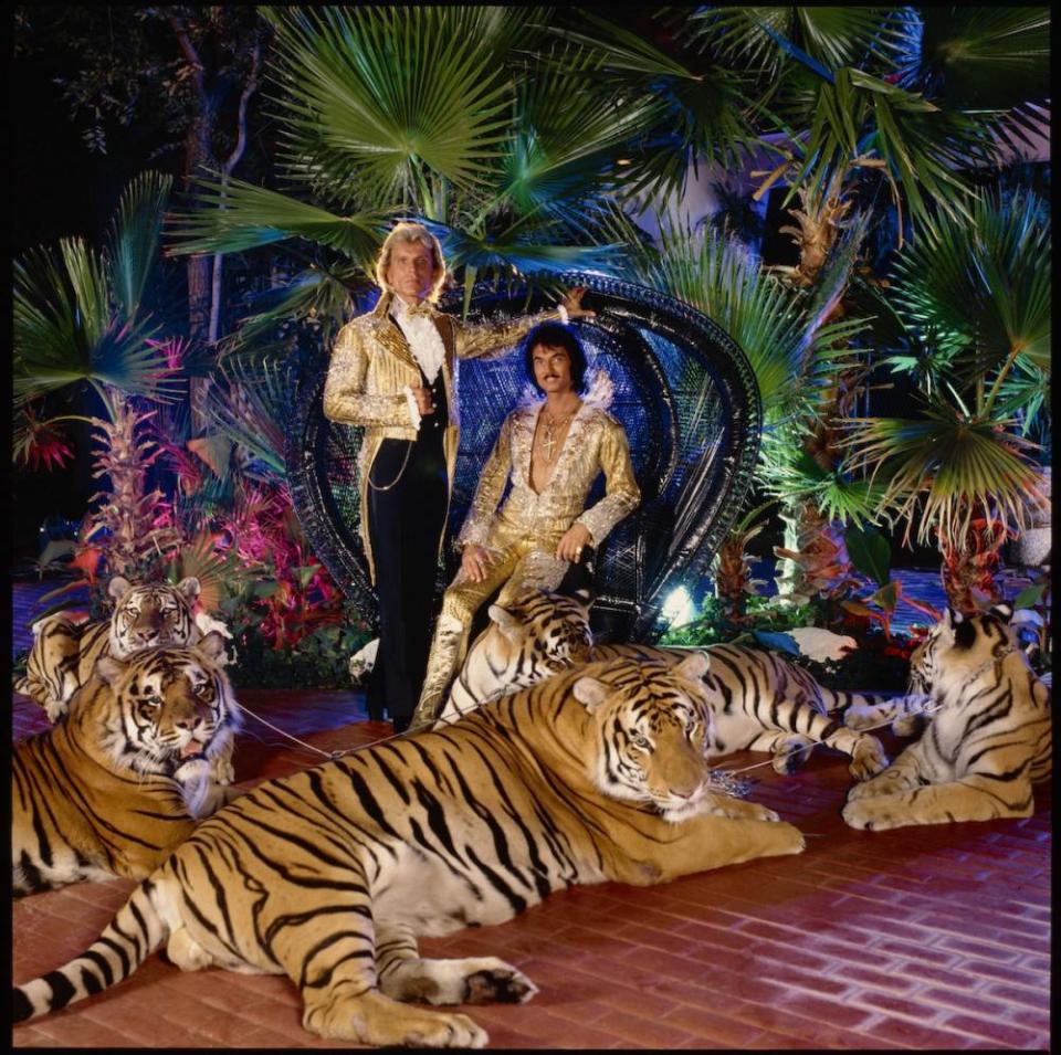 Entertainers Siegfried and Roy posed with tigers, approximately 1982-1987.