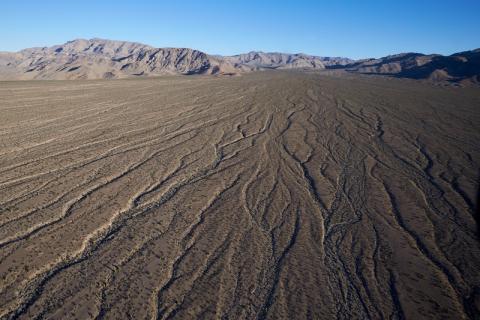 Photograph of undeveloped land near the Las Vegas Mountain Range, North Las Vegas, Nevada, March 23, 2016. Aaron Mayes, UNLV University Libraries Special Collections. 