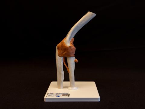 Flexible elbow joint attached to stand