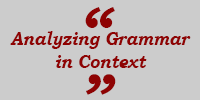 Analyzing Grammar in Context logo