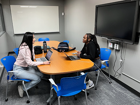 Two students sitting at an oval table. Room has a wall-mounted large tv monitor and white board.