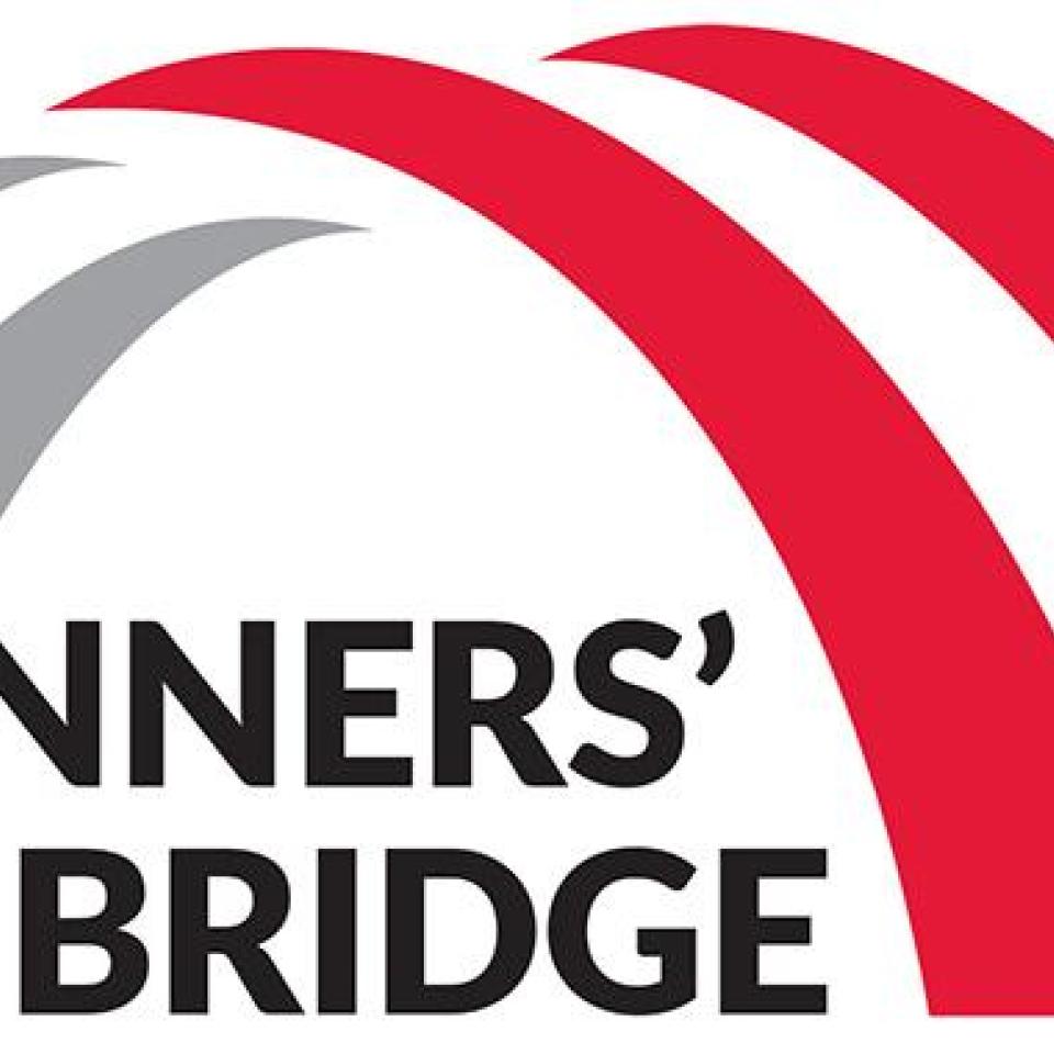 Beginners' Idea Bridge workshop series logo