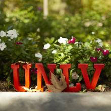 UNLV Letters in front of flowers