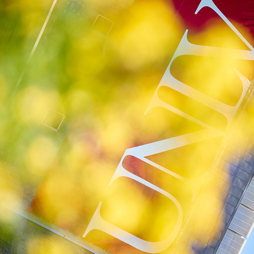 A UNLV banner on the side of Lied Library behind leaves on a tree.