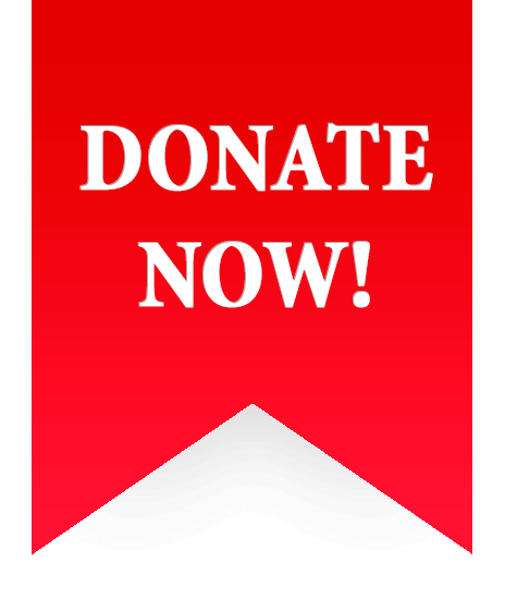 Donate to the UNLV Libraries Now